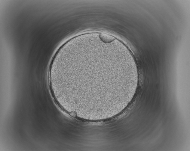 X0000112181519200909181423