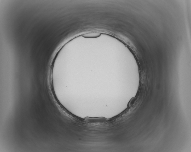 X0000112181520200909181423