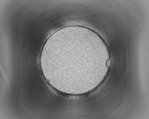 X0000112181521200909181423