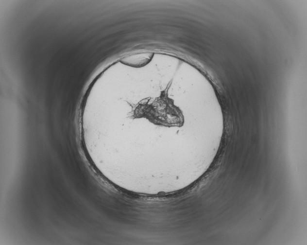 X0000112181522200909181423