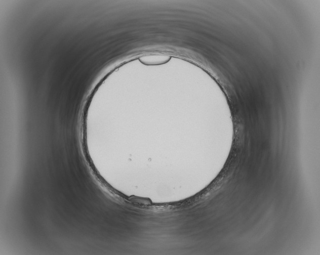 X0000112181523200909181423