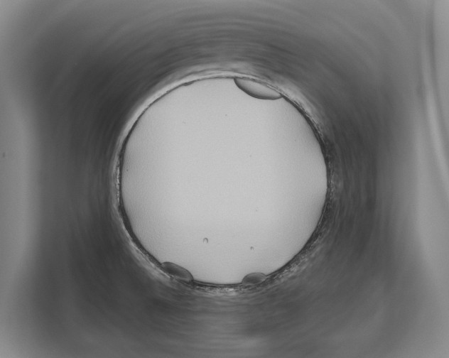 X0000112181524200909181423