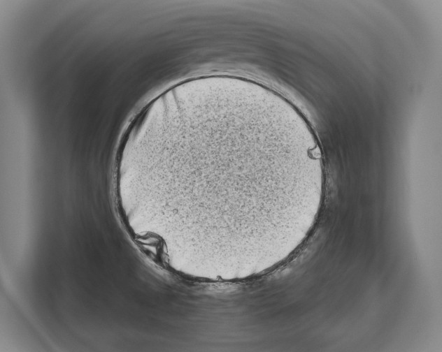 X0000112181525200909181423