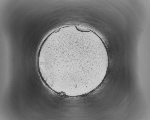 X0000112181527200909181423