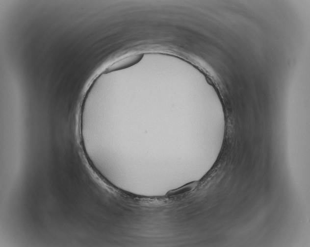 X0000112181528200909181423