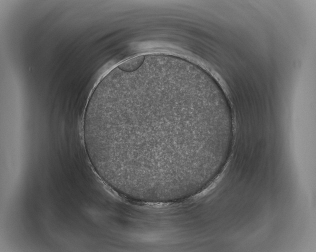 X0000112181529200909181423