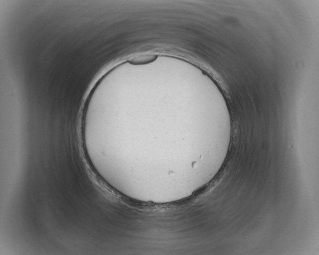X0000112181530200909181423
