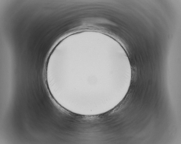 X0000112181531200909181423