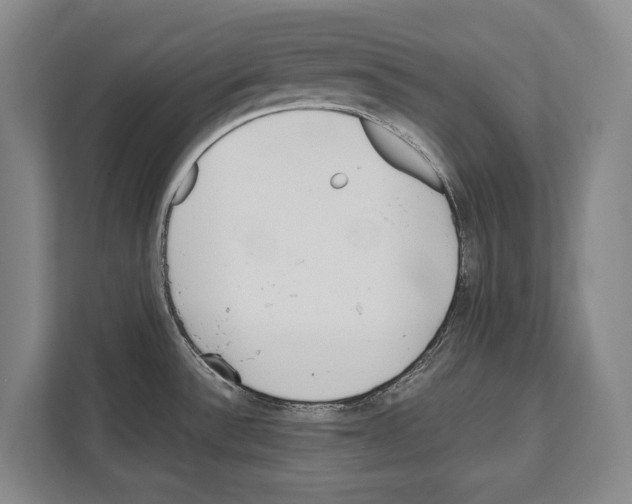 X0000112181532200909181423