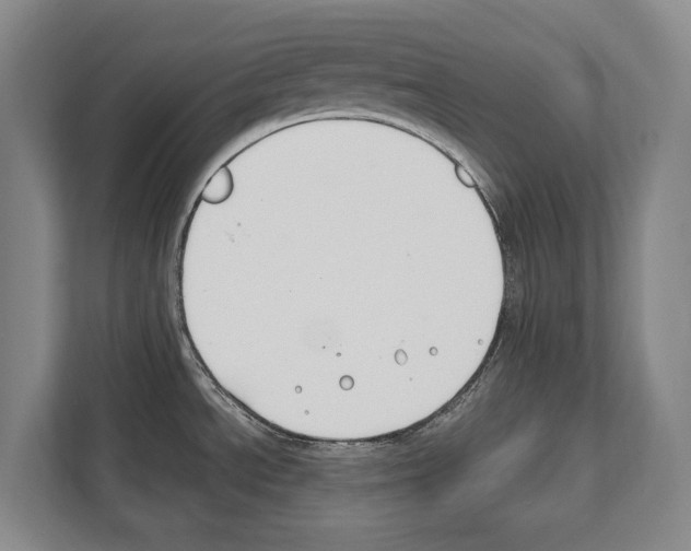 X0000112181534200909181423