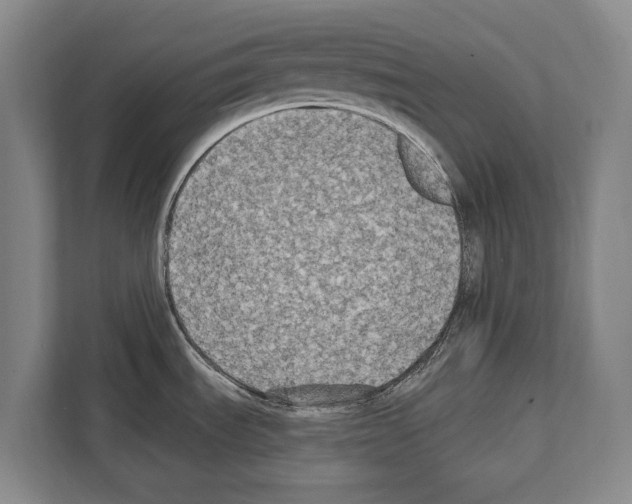 X0000112181535200909181423