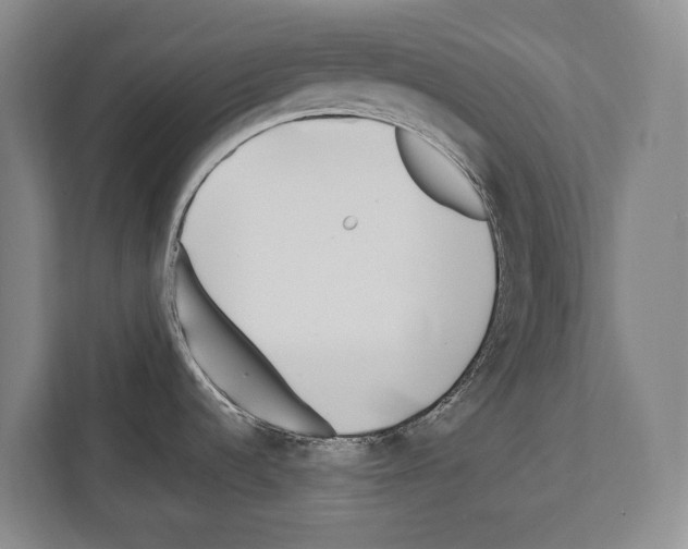 X0000112181536200909181423