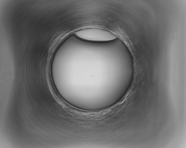 X0000112200001200908071252