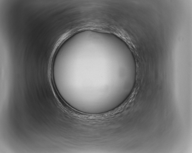 X0000112200003200908071252