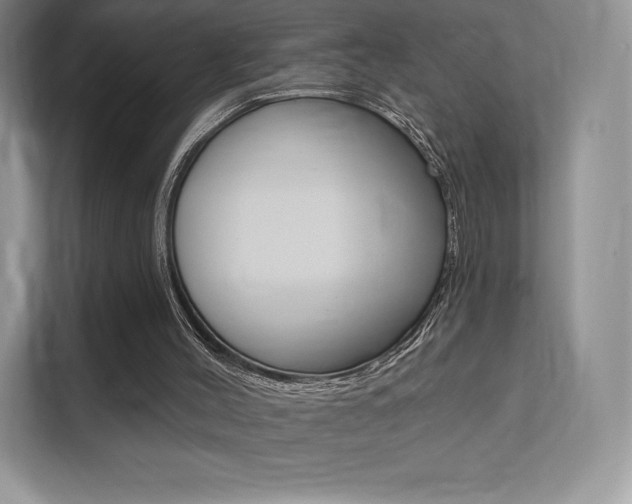 X0000112200004200908071252