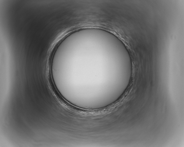 X0000112200005200908071252