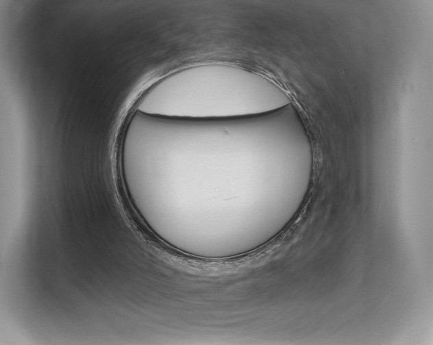 X0000112200006200908071252