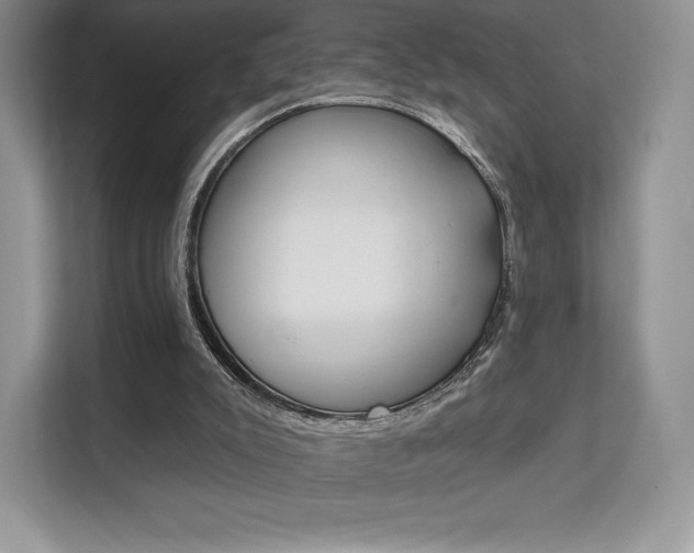 X0000112200007200908071252