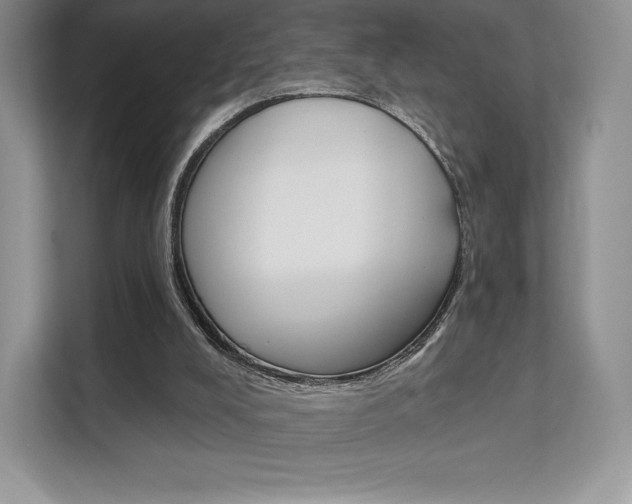 X0000112200008200908071252