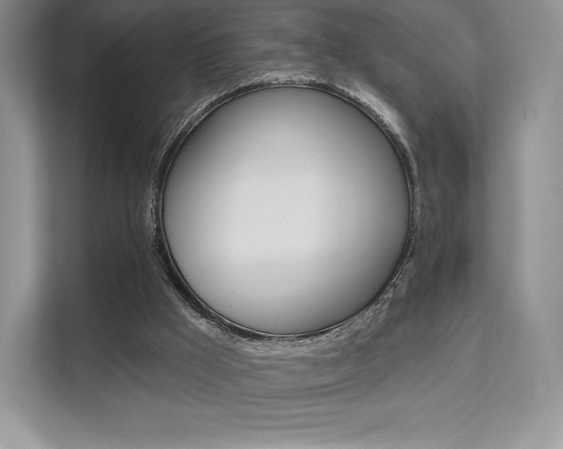 X0000112200009200908071252