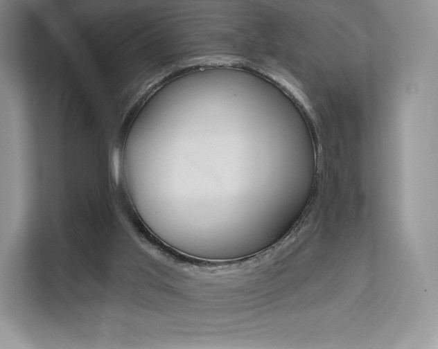 X0000112200013200908071252