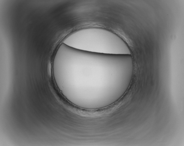 X0000112200014200908071252