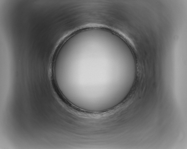 X0000112200015200908071252