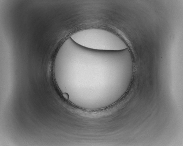 X0000112200018200908071252