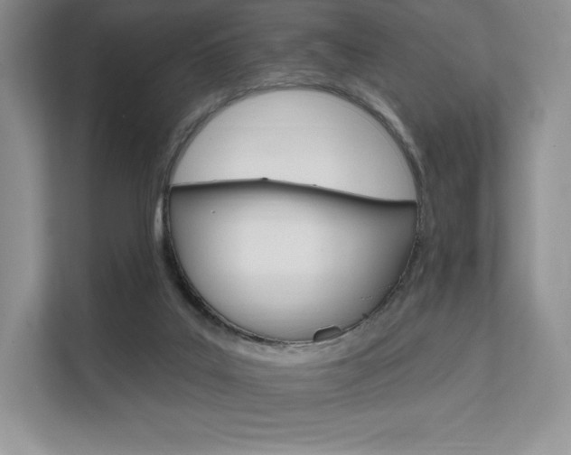 X0000112200019200908071252
