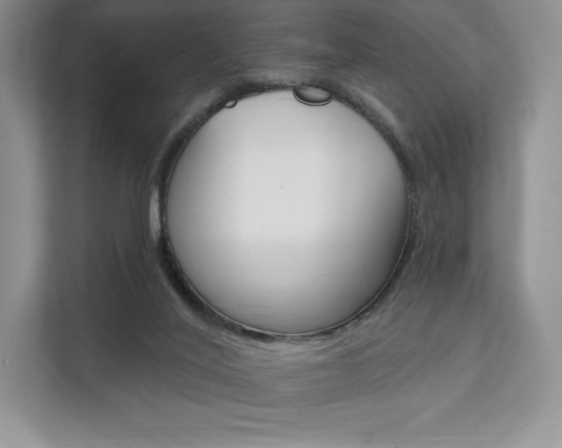 X0000112200020200908071252