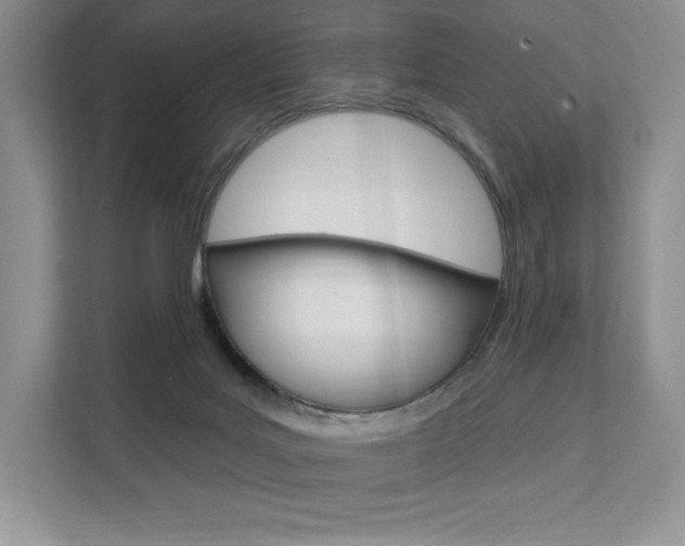 X0000112200027200908071252