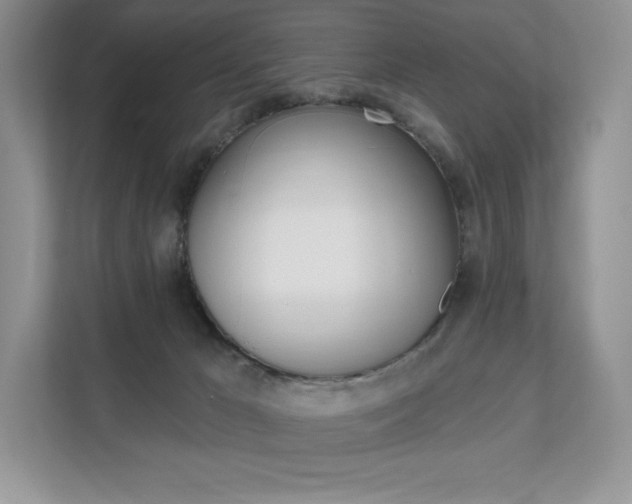 X0000112200029200908071252