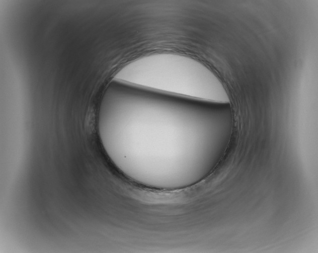 X0000112200036200908071252