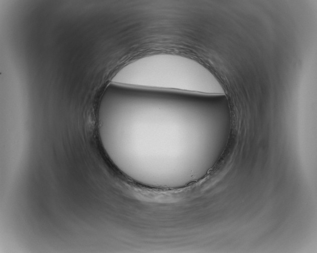 X0000112200040200908071252