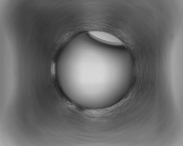 X0000112200041200908071252