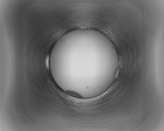 X0000112200047200908071251