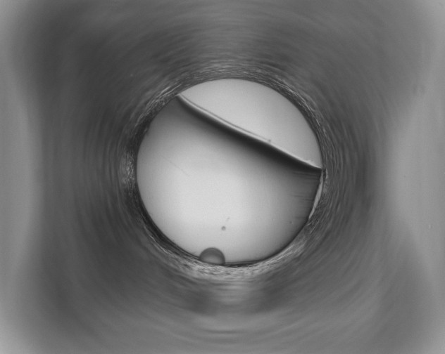 X0000112200048200908071251