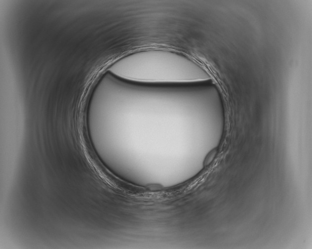X0000112200049200908071251