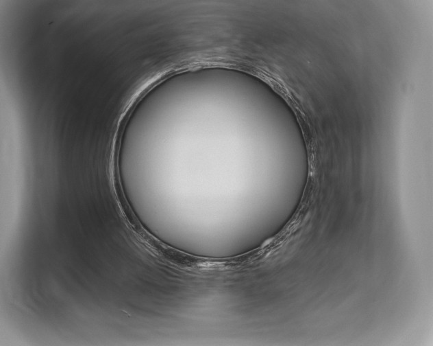 X0000112200052200908071251