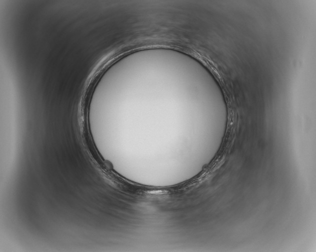 X0000112200053200908071251