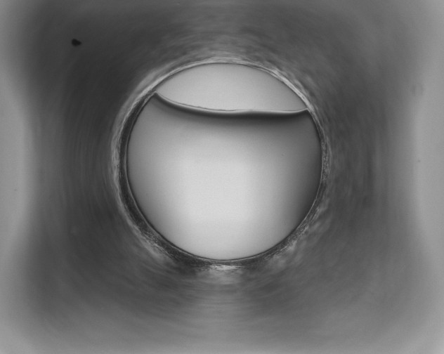 X0000112200055200908071251