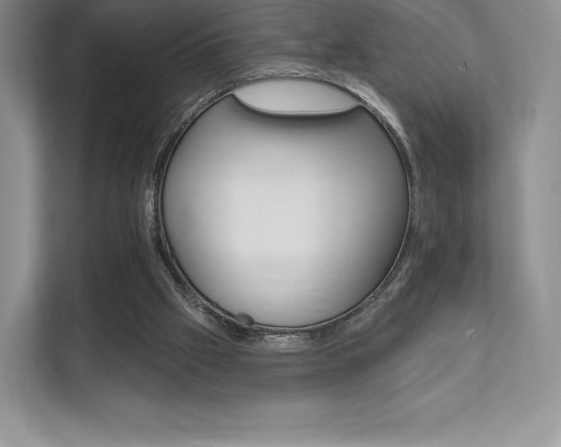 X0000112200057200908071251