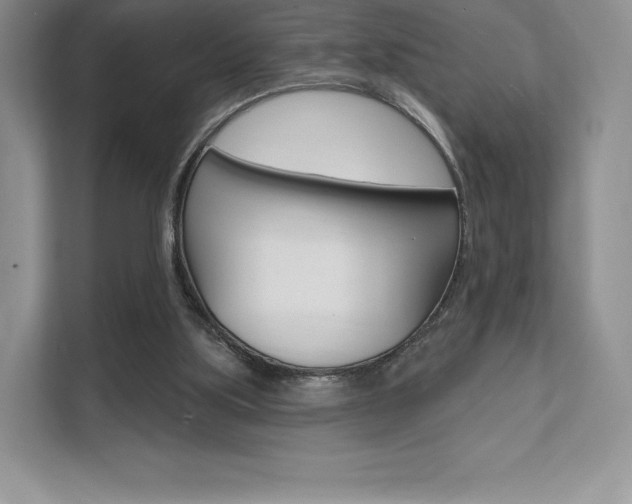 X0000112200059200908071251