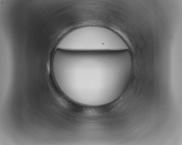 X0000112200062200908071251