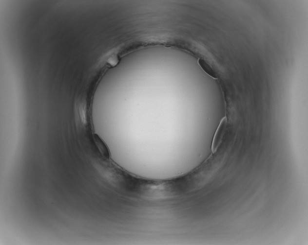X0000112200068200908071251