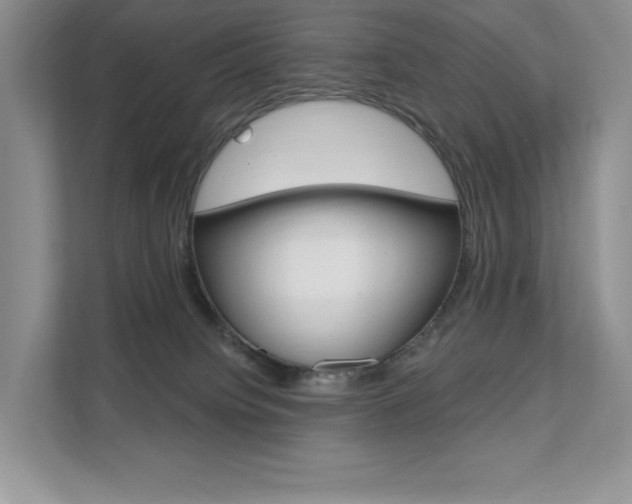 X0000112200084200908071251