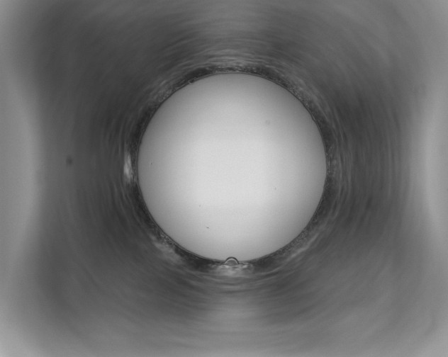X0000112200089200908071251