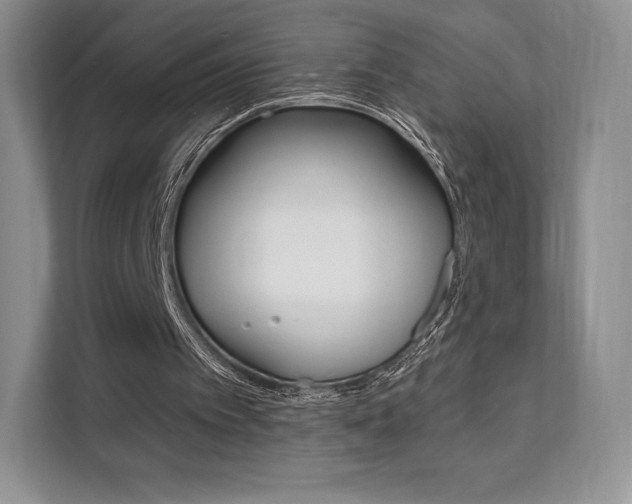 X0000112200097200908071251