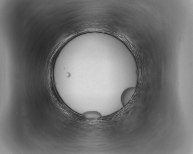 X0000112200098200908071251