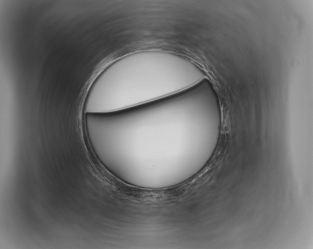 X0000112200099200908071251